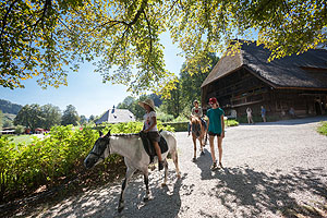 Zwei Kinder reiten auf Ponies