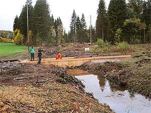 Bei einer Hochmoorrenaturierung werden Spundwände quer zu den Entwässerungsgräben eingebaut und aufgefüllt, um den Wasserabfluss zu unterbinden und so das Hochmoor wiederzuvernässen. Foto: LIN’eco, ©Pro Natura