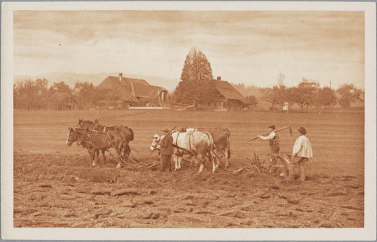 C. Jäger: Pflügen eines Feldes